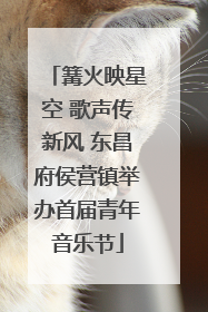篝火映星空 歌声传新风 东昌府侯营镇举办首届青年音乐节