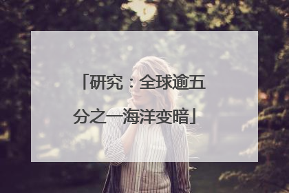 研究：全球逾五分之一海洋变暗