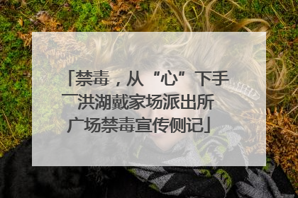 禁毒，从“心”下手――洪湖戴家场派出所广场禁毒宣传侧记