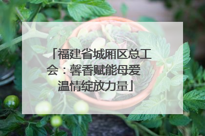 福建省城厢区总工会：馨香赋能母爱 温情绽放力量