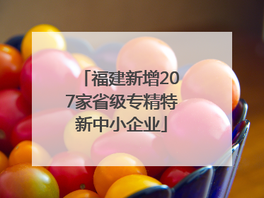 福建新增207家省级专精特新中小企业