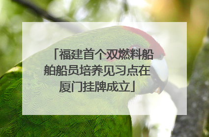 福建首个双燃料船舶船员培养见习点在厦门挂牌成立