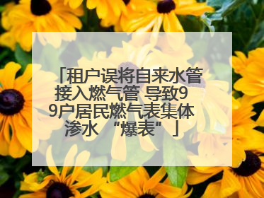 租户误将自来水管接入燃气管 导致99户居民燃气表集体渗水 “爆表”