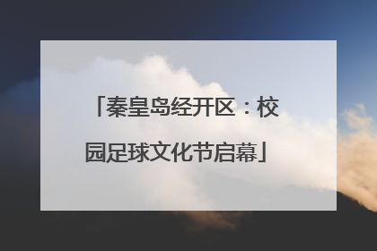 秦皇岛经开区：校园足球文化节启幕