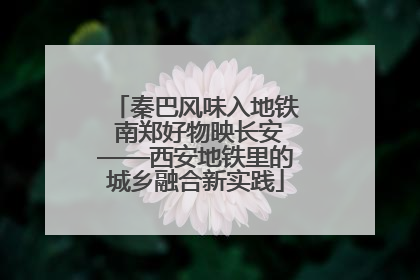 秦巴风味入地铁 南郑好物映长安——西安地铁里的城乡融合新实践