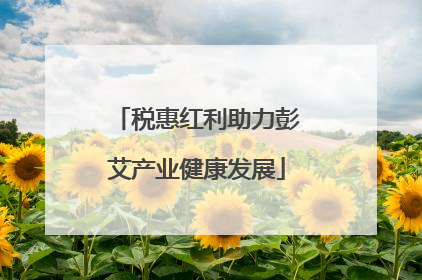 税惠红利助力彭艾产业健康发展