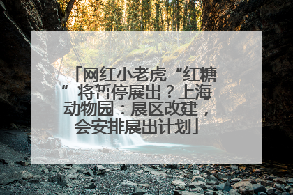 网红小老虎“红糖”将暂停展出？上海动物园：展区改建，会安排展出计划