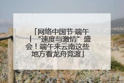 网络中国节·端午丨“速度与激情”盛会！端午来云南这些地方看龙舟竞渡
