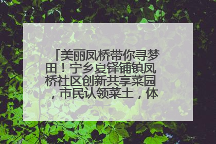 美丽凤桥带你寻梦田！宁乡夏铎铺镇凤桥社区创新共享菜园，市民认领菜土，体验耕种收获乐趣