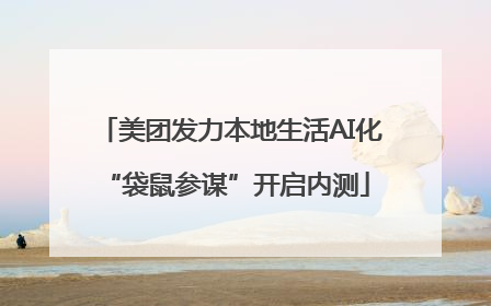 美团发力本地生活AI化 “袋鼠参谋”开启内测