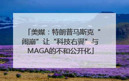 美媒：特朗普马斯克“闹崩”让“科技右翼”与MAGA的不和公开化