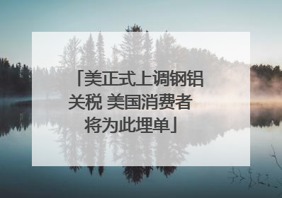 美正式上调钢铝关税 美国消费者将为此埋单