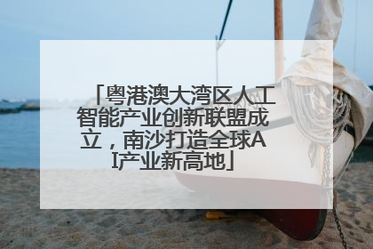 粤港澳大湾区人工智能产业创新联盟成立，南沙打造全球AI产业新高地
