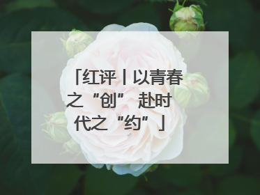 红评丨以青春之“创” 赴时代之“约”