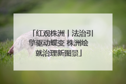 红观株洲丨法治引擎驱动蝶变 株洲绘就治理新图景