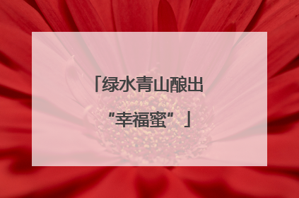 绿水青山酿出“幸福蜜”