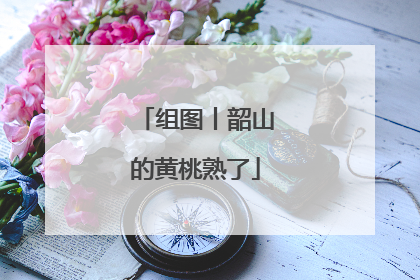 组图丨韶山的黄桃熟了