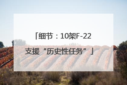 细节：10架F-22支援“历史性任务”