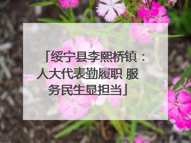 绥宁县李熙桥镇：人大代表勤履职 服务民生显担当