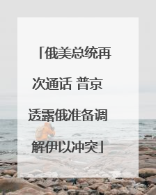 俄美总统再次通话 普京透露俄准备调解伊以冲突