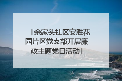 余家头社区安胜花园片区党支部开展廉政主题党日活动