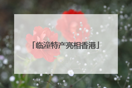 临潼特产亮相香港