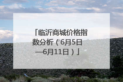 临沂商城价格指数分析（6月5日—6月11日）