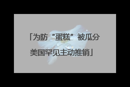 为防“蛋糕”被瓜分 美国罕见主动推销