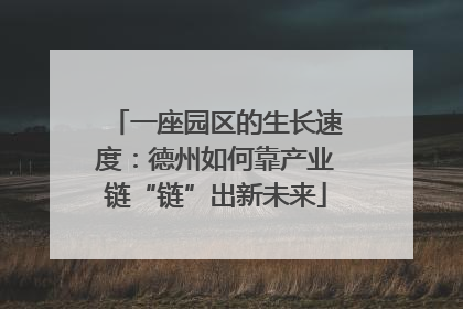 一座园区的生长速度：德州如何靠产业链“链”出新未来
