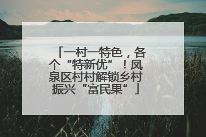 一村一特色，各个“特新优”！凤泉区村村解锁乡村振兴“富民果”