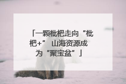 一颗枇杷走向“枇杷+” 山海资源成为“聚宝盆”