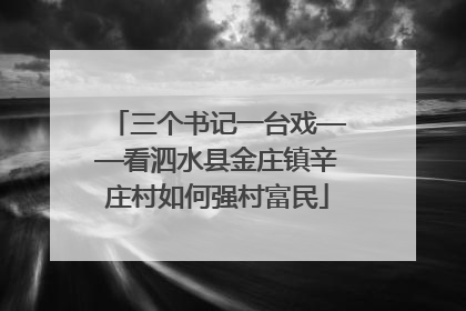 三个书记一台戏——看泗水县金庄镇辛庄村如何强村富民