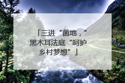 三进“菌地，”黑木耳法庭“呵护乡村梦想”