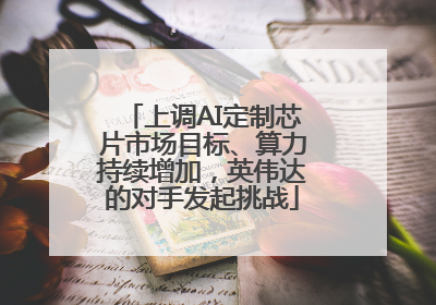 上调AI定制芯片市场目标、算力持续增加，英伟达的对手发起挑战