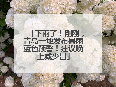 下雨了！刚刚，青岛一地发布暴雨蓝色预警！建议晚上减少出
