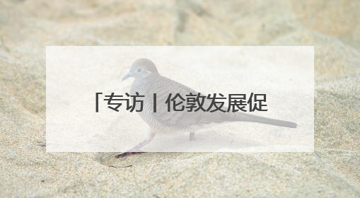 专访丨伦敦发展促进署CEO西特伦：很多中国科技企业正把伦敦作为拓展欧洲市场的门户