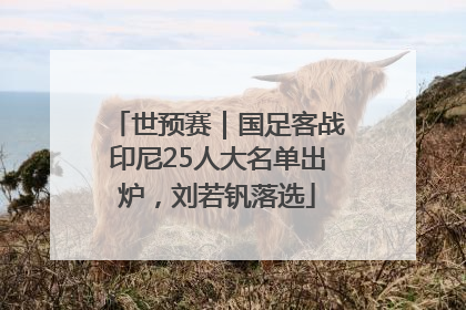 世预赛｜国足客战印尼25人大名单出炉，刘若钒落选