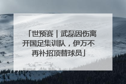 世预赛｜武磊因伤离开国足集训队，伊万不再补招顶替球员