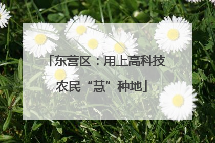 东营区：用上高科技 农民“慧”种地