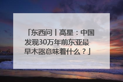 东西问丨高星：中国发现30万年前东亚最早木器意味着什么？