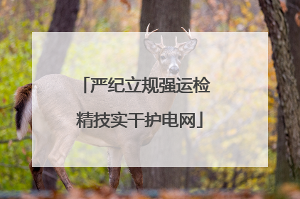 严纪立规强运检 精技实干护电网