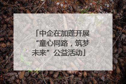 中企在加蓬开展“童心同路，筑梦未来”公益活动