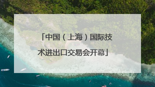 中国（上海）国际技术进出口交易会开幕
