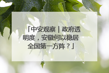 中安观察｜政府透明度，安徽何以稳居全国第一方阵？