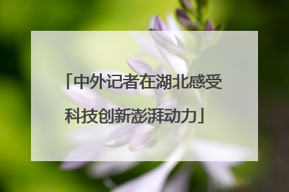 中外记者在湖北感受科技创新澎湃动力