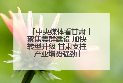 中央媒体看甘肃丨聚焦集群建设 加快转型升级 甘肃支柱产业增势强劲