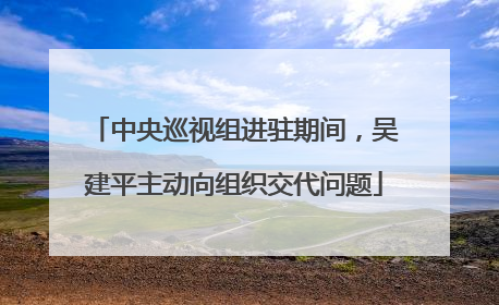 中央巡视组进驻期间，吴建平主动向组织交代问题