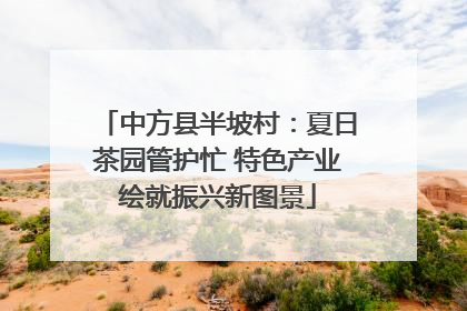 中方县半坡村：夏日茶园管护忙 特色产业绘就振兴新图景