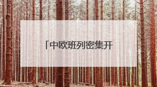 中欧班列密集开行助推“落地经济” 激活周边地区发展新动能