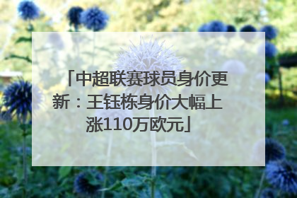 中超联赛球员身价更新：王钰栋身价大幅上涨110万欧元
